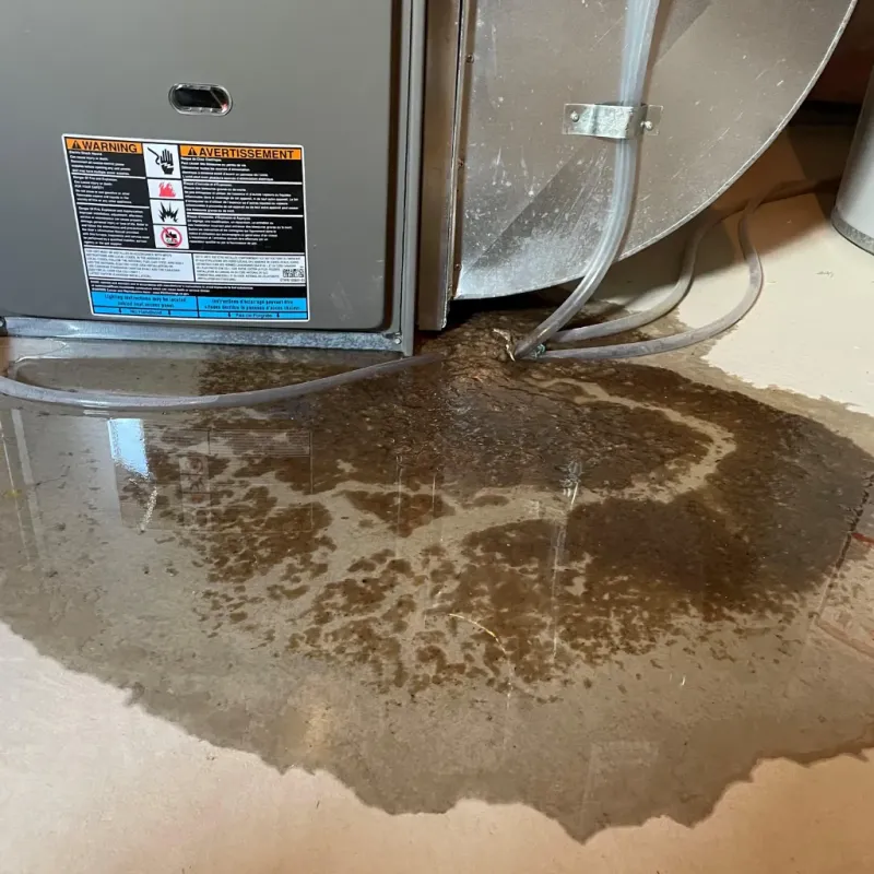 Appliance Leak Cleanup in Winfield, AL